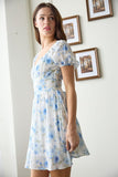 Dana Mini Dress (Blue Floral)