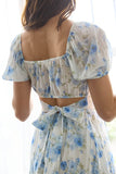 Dana Mini Dress (Blue Floral)