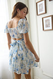 Dana Mini Dress (Blue Floral)