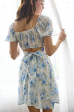 Dana Mini Dress (Blue Floral)