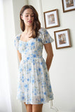 Dana Mini Dress (Blue Floral)
