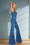 Blue Mesa Denim Jumpsuit