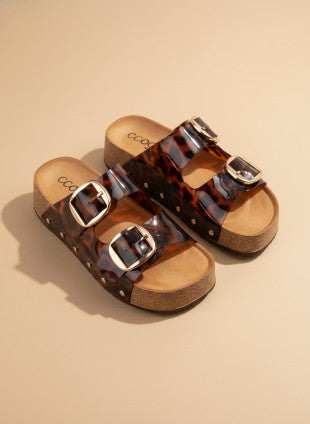 Nancy Sandal (Tortoise)