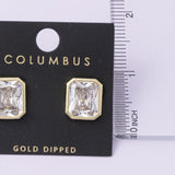 Clear CZ Earrings (Gold)