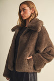 Voluminous Faux Fur Jacket