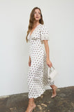 Polka Dot Lace Trim V-Neck Button-Down Midi Dress (Champagne)