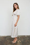 Polka Dot Lace Trim V-Neck Button-Down Midi Dress (Champagne)