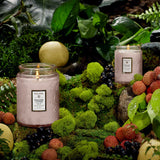 Panjoree Lychee Small Jar Candle