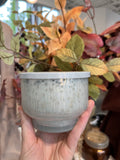 PUMPKIN DULCE MERCURY INVERTED CANDLE (10oz)